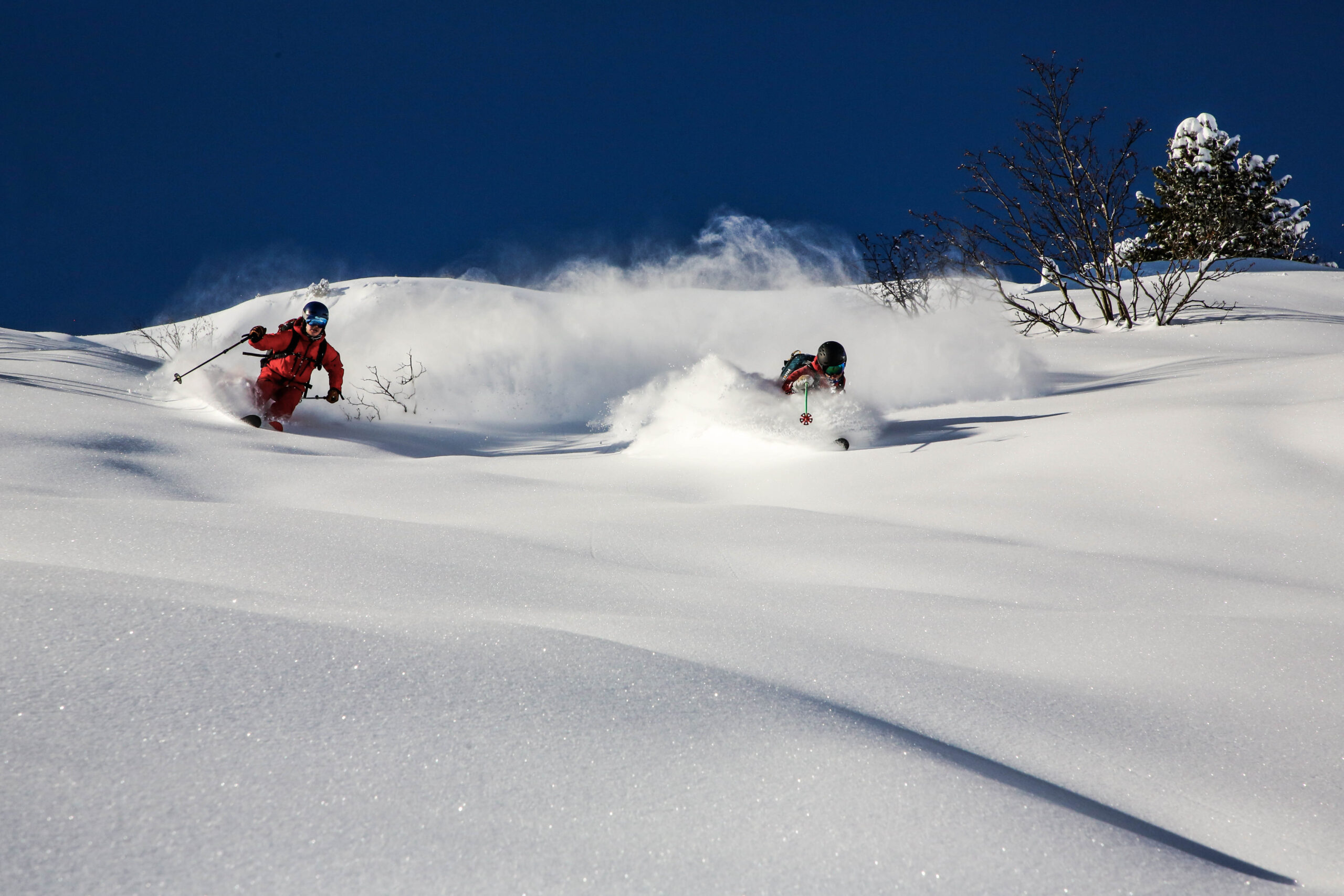 Advanced-Freetour-Guiding